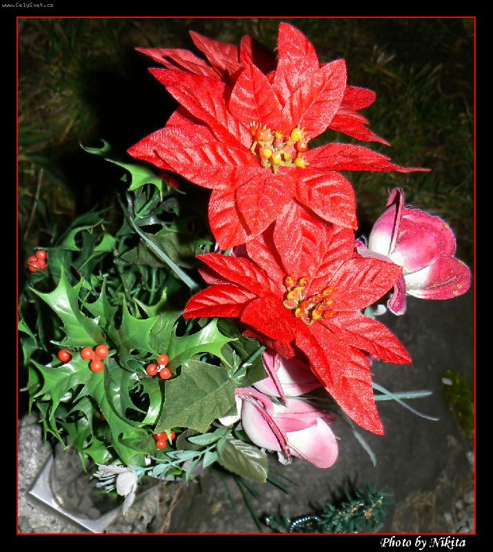 Foto: OZDOBA POMNIKU