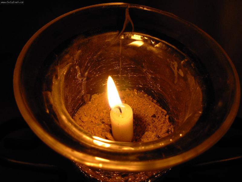 Foto: Plam�nek-p�i sv�tlu sv��ky je v�echno hez��