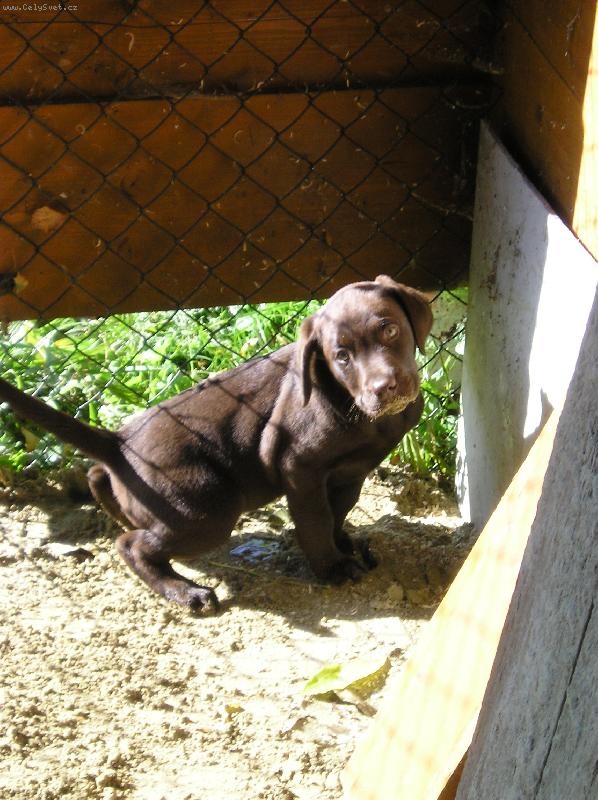 Foto: Dasty-������r�m!!!