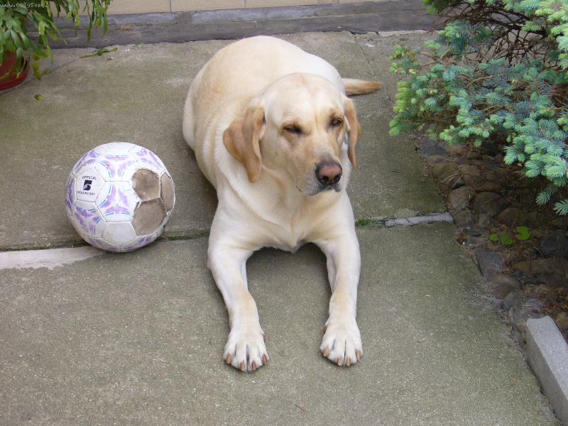 Foto: Dend�ek odpociva