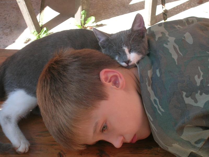 Foto: Kocourek Pi�ta a Honz�k-Odpo�inek po dobr�m ob�d�