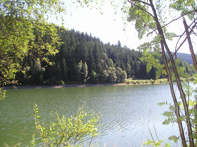 Foto: P�ehradn� n�dr� �ance-Vodn� hladina p�ehrady s okoln�mi lesy