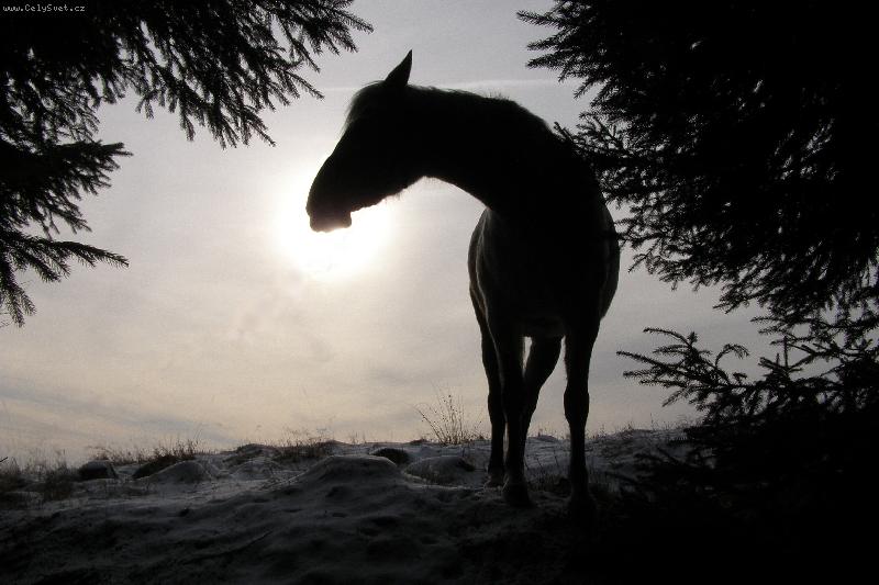 Foto: Pro� to slun��ko tak m�lo h�eje.