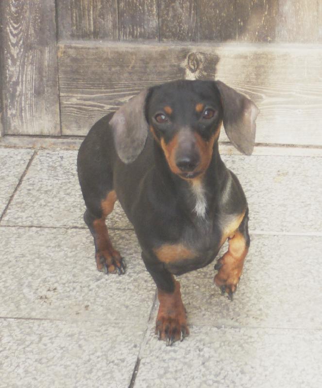 Foto: Xend�k-co se d�je???