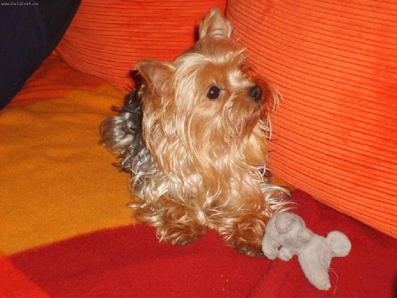 Foto: moje hodn� hol�i�ka-na�e nejv�t�� st�st�