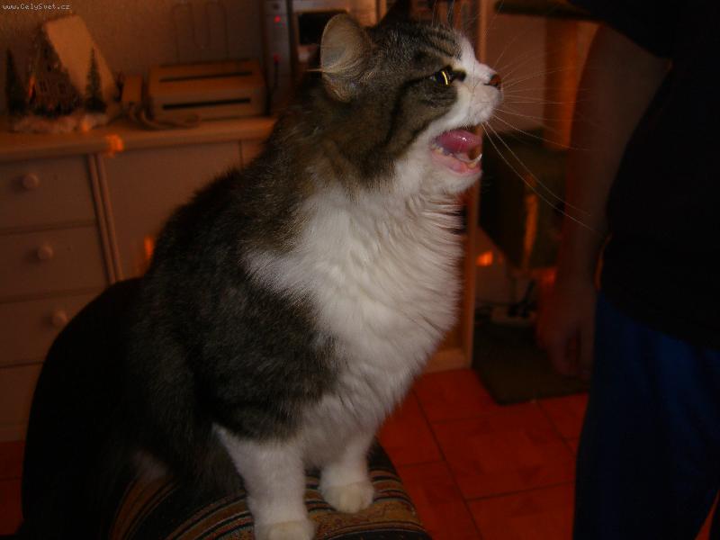 Foto: H� h� h� h� .. .. ..