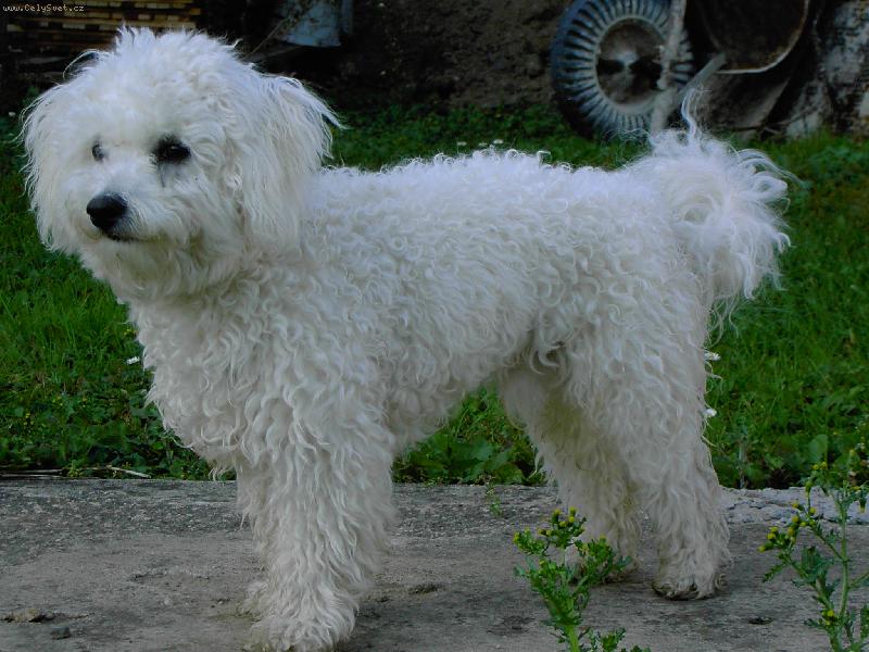 Foto: copak tam ale je????