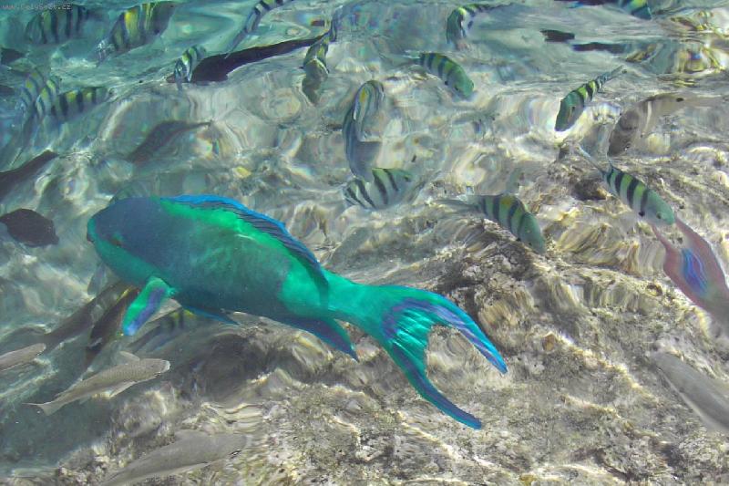 Foto: a m�m t�!!!-asi 33 pokus - kone�n� se to povedlo