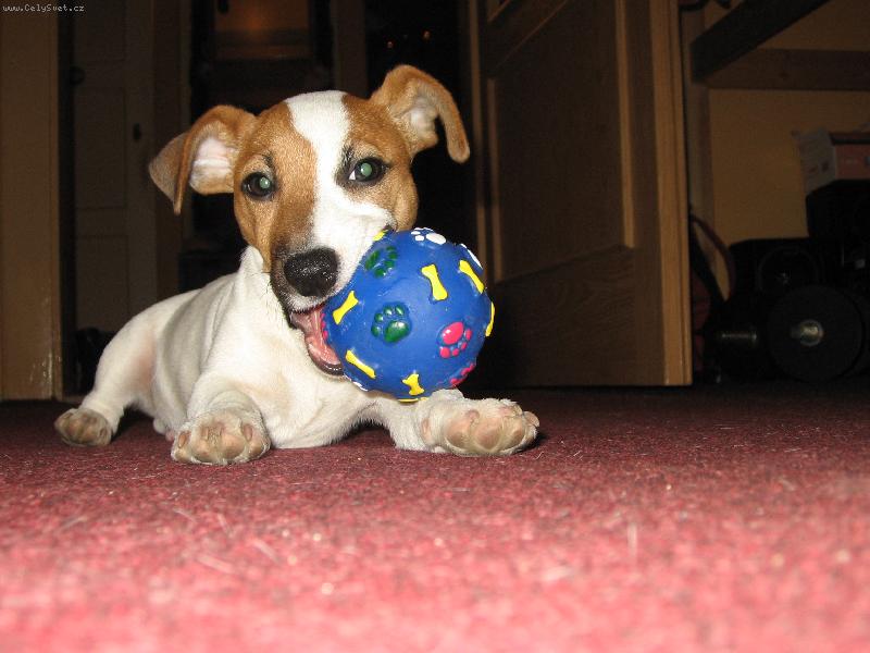 Foto: Vincent-M��ov� hry? Tak ty fakt �eru...