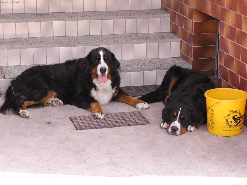 Foto: B�ra a Conie-Siesta