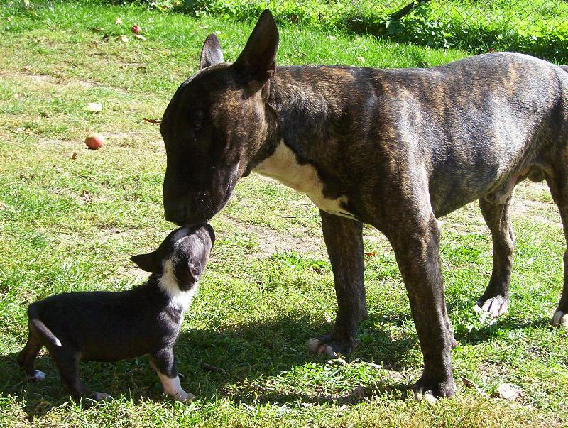 Foto: Mate�sk� l�ska-Ahoj tati...