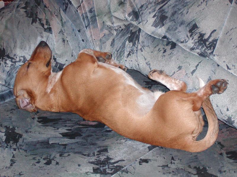 Foto: Timi-Po poradnem jidle poradny veget....