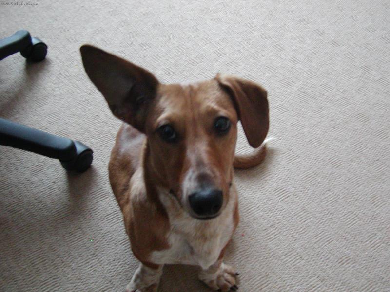 Foto: Timi-Chytam kissRadio....