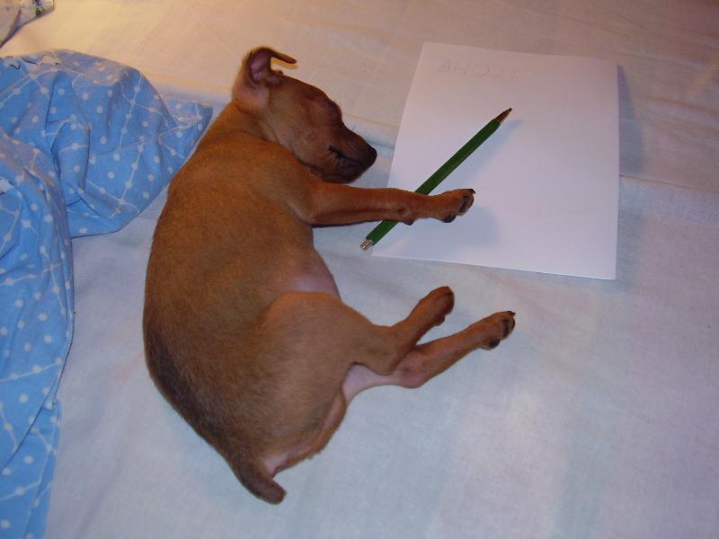 Foto: co jsem to cht�l napsat...