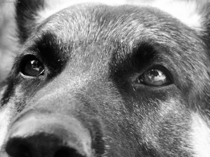 Foto: Pohled mluv�c� za v�e