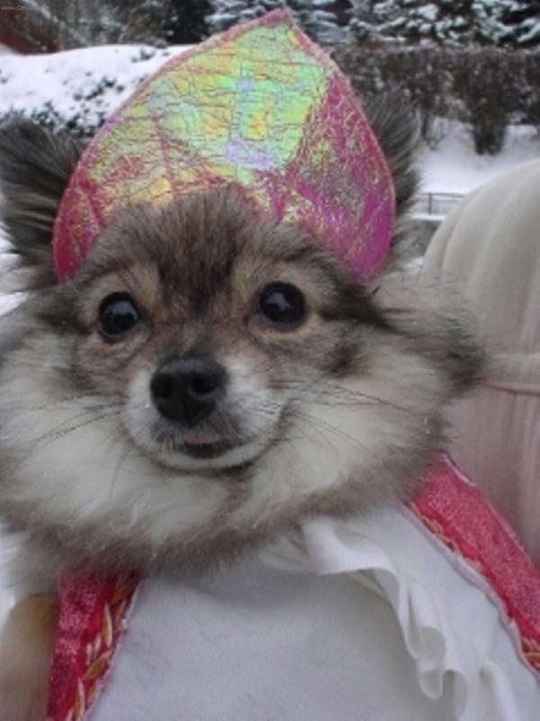 Foto: Ruská carevna-Ája na narozeninách kamarádce,v kostýmu ruské carevny
