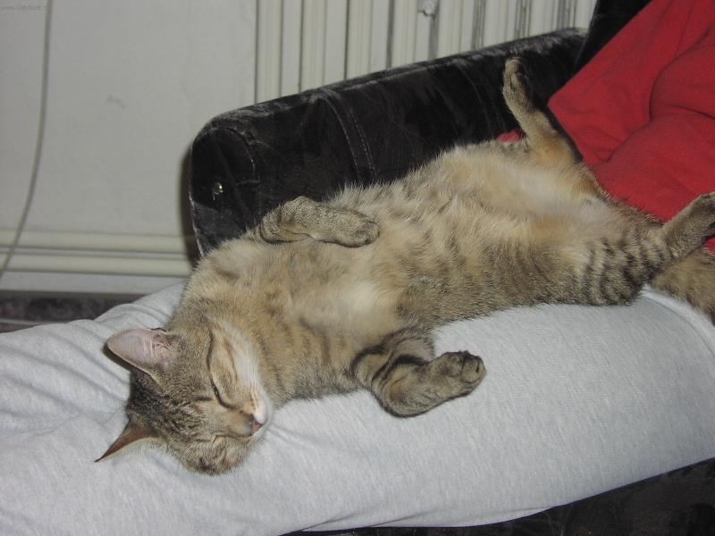 Foto: siesta-rozvalený kočík
