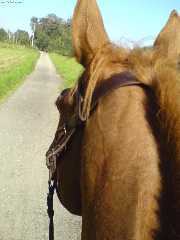 Foto: Pohled s konskeho hrbetu