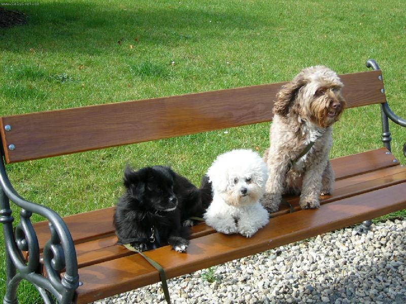 Foto: Brunt�lsk� Vo��ek-Odpo�inek po n�ro�n�m dopoledni