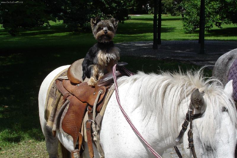 Foto: n� Edou�ek-hyj�