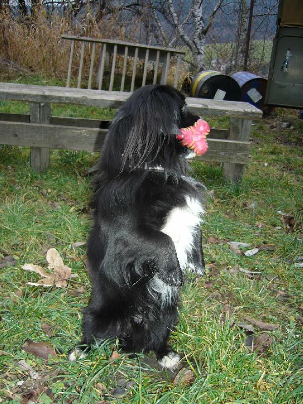 Foto: vym�n�m aportek za mas��ko\.\.\. zn\.nejvy��� nab�dka-Kevin