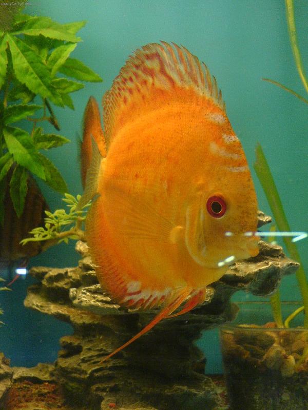 Foto: Ter�ovec-No neni to kr�sa....