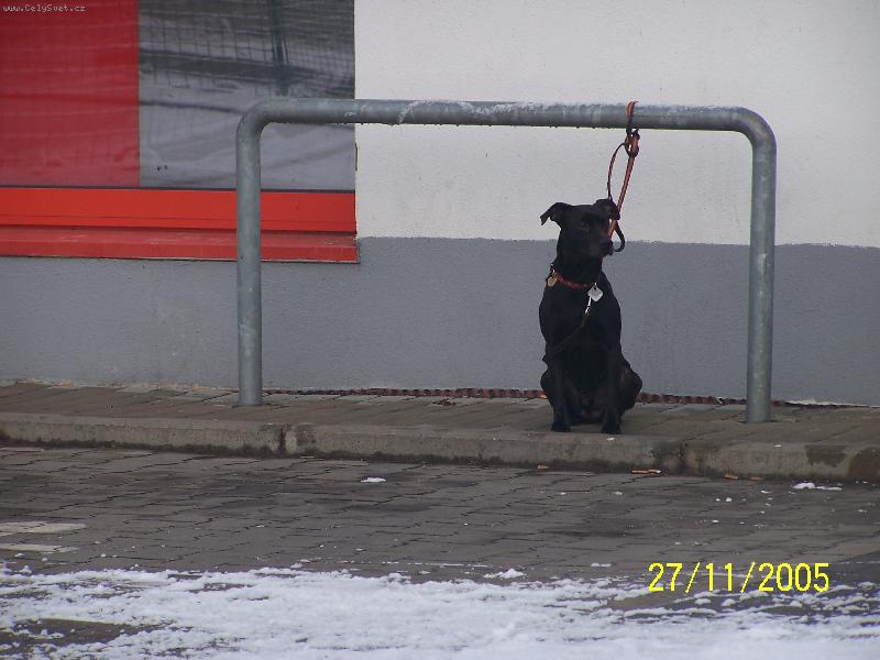 Foto: �EK�N�-P�ijde p�n��ek?