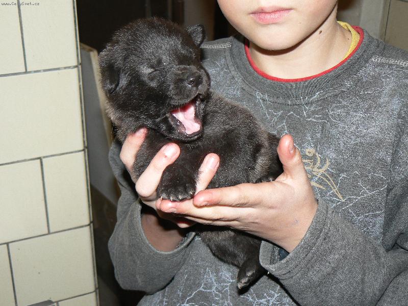 Foto: �t�n�-pro� m� bud�te??j� se nechci fotit!