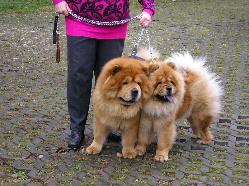 Foto: jarn� proch�zka-M�a a Nelinka