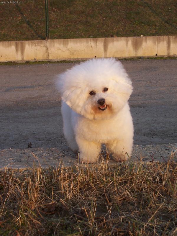 Foto: Andy z �erven�ch roklin-p�i z�padu slun��ka