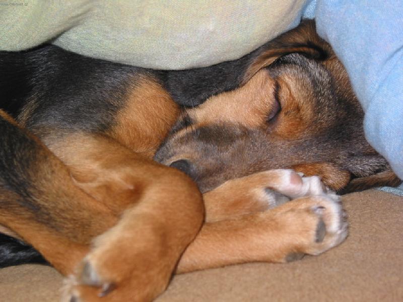 Foto: neru�it-Bobinka