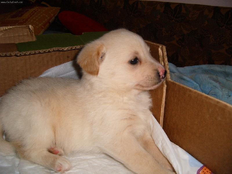 Foto: Deni-Le�� ve sv� bedn�