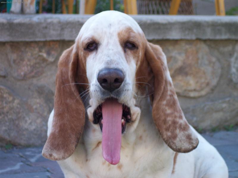 Foto: Ka�lu na v�s-Na�e Sindy na n�s ka�le