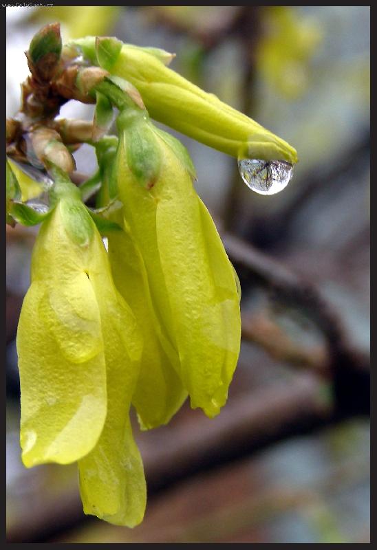 Foto: D隝 po de�ti