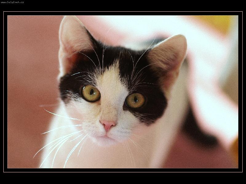 Foto: �gnes-�umavsk� sm�s