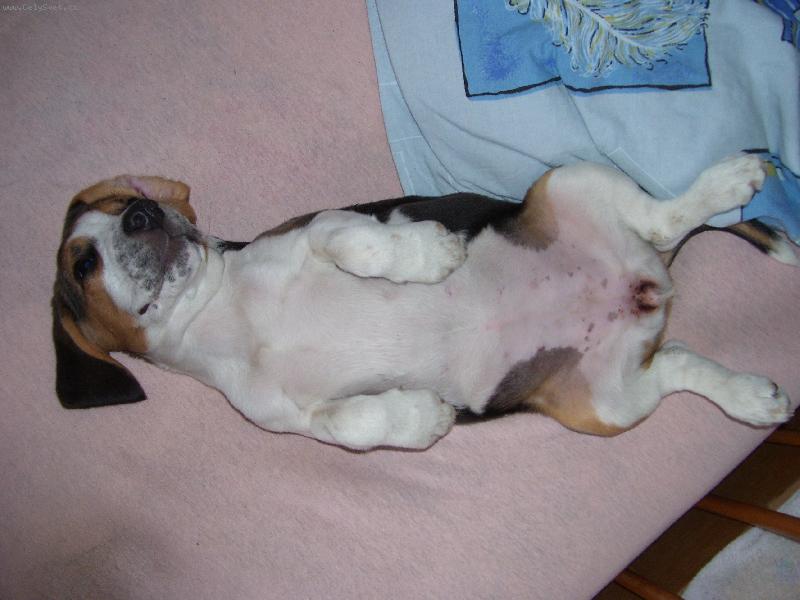 Foto: Niky-Se um�m ale rozvalovat co????