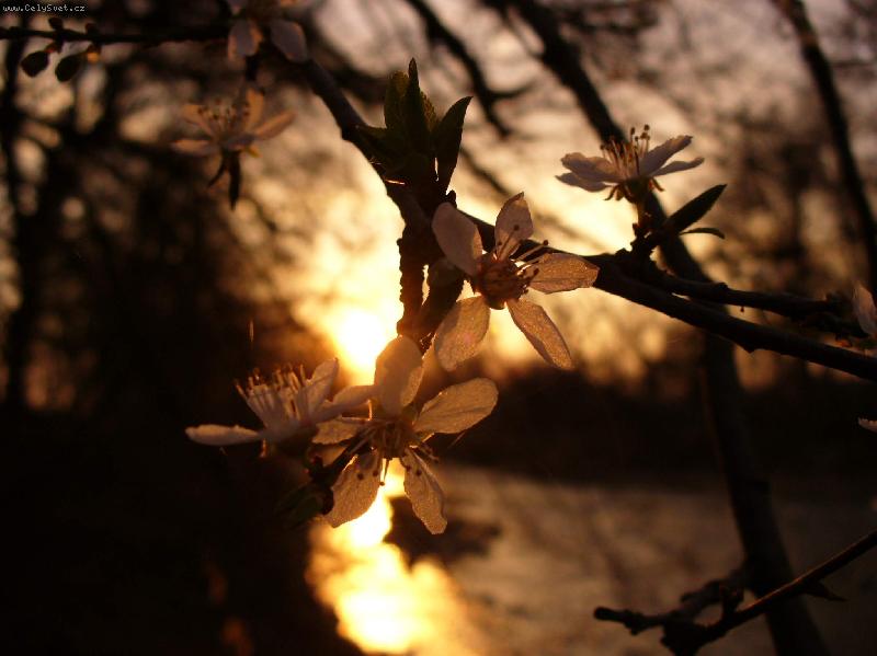 Foto: �pendl�k :-)