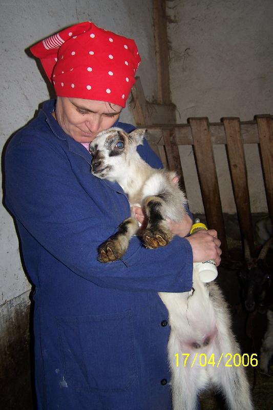 Foto: Nejen koz� maminka