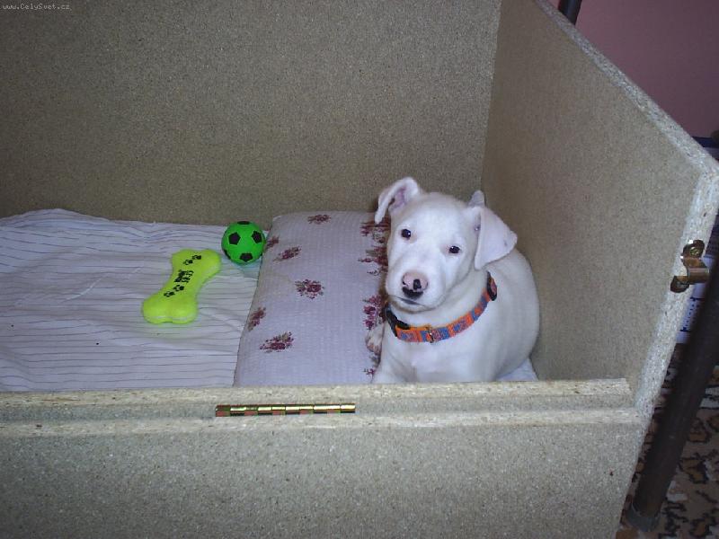 Foto: Prvn� den v nov�m domov�...-Danny