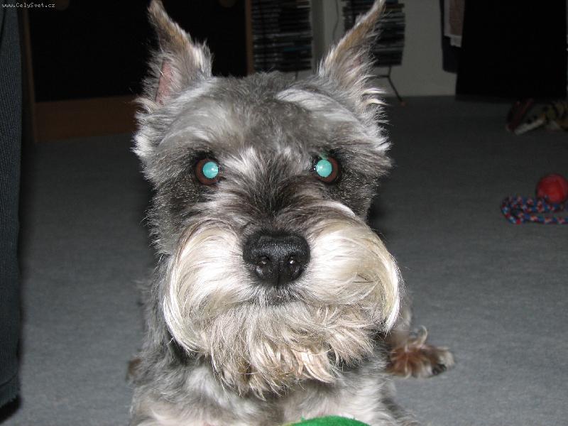 Foto: Kouk�m na V�s