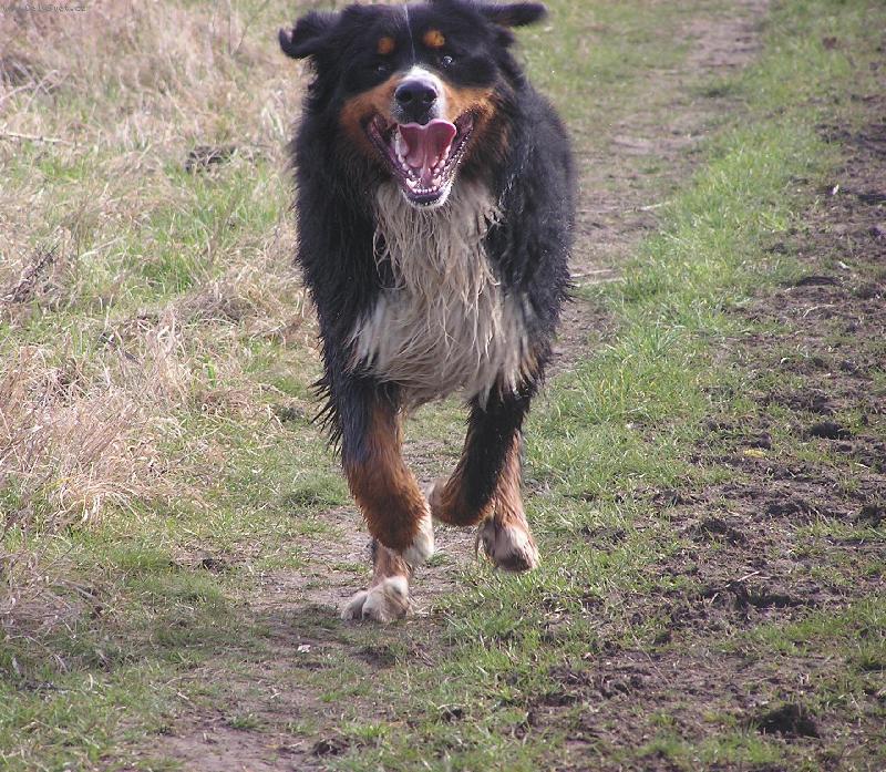 Foto: Apollo obludka