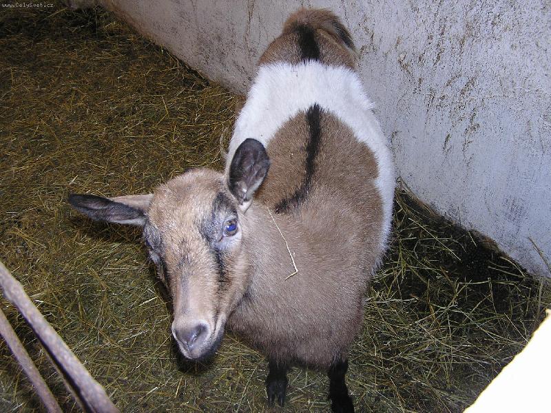 Foto: Kuk jmenuji se L�za