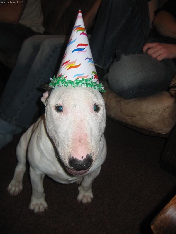 Foto: V�E NEJLEP��!!!-V�E NEJLEP��!!!