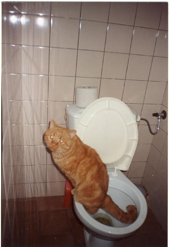 Foto: Dami�n slu���k-Nechci sv�m p�ne�k�m p�id�l�vat starosti, tak jsem se nau�il chodit tam, co chod� oni.