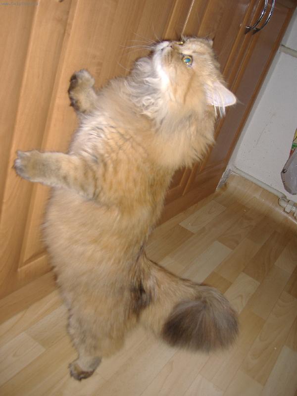 Foto: Dejte mi naj�st !!!