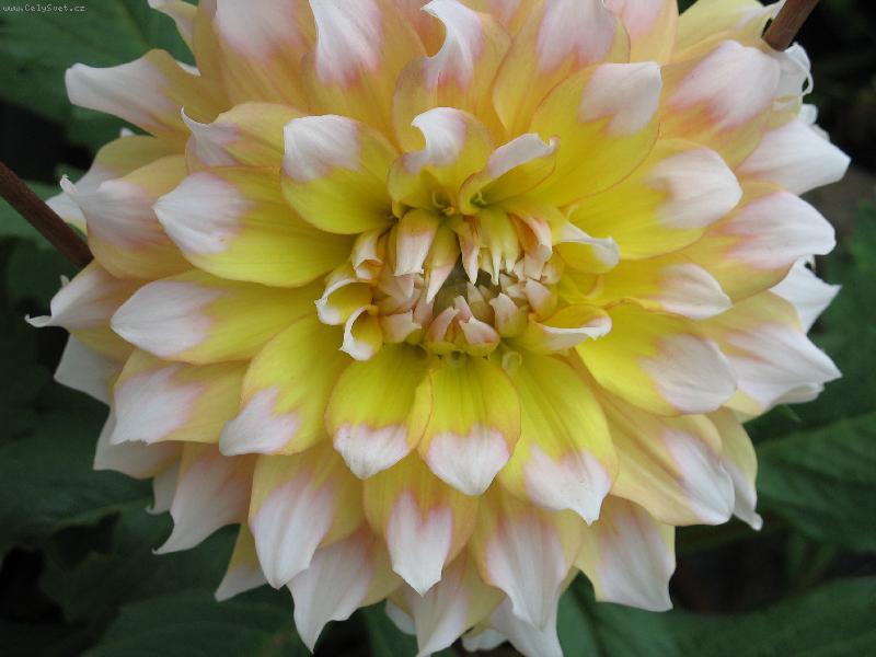 Foto: Ji�ina-Ji�ina