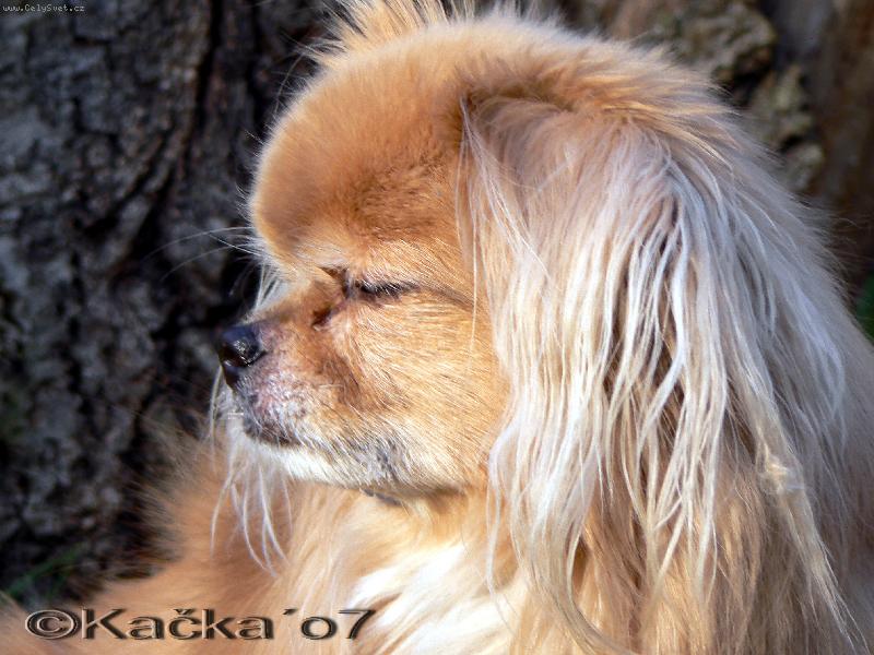 Foto: Carmen Asiata (14 let)-takhle se tv��� po��d :)