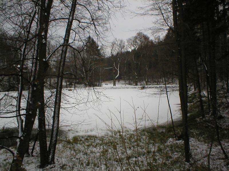 Foto: rybn�k-zasn�en� rybn�k