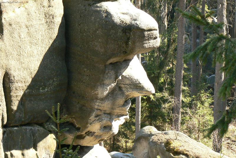 Foto: Osta� - Police nad Metuj�-p�skovcov� sk�ly