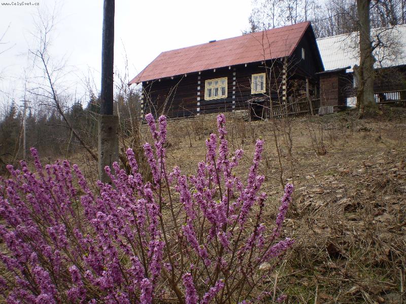 Foto: Jaro na Kysuc�ch-pohled na roubenku
